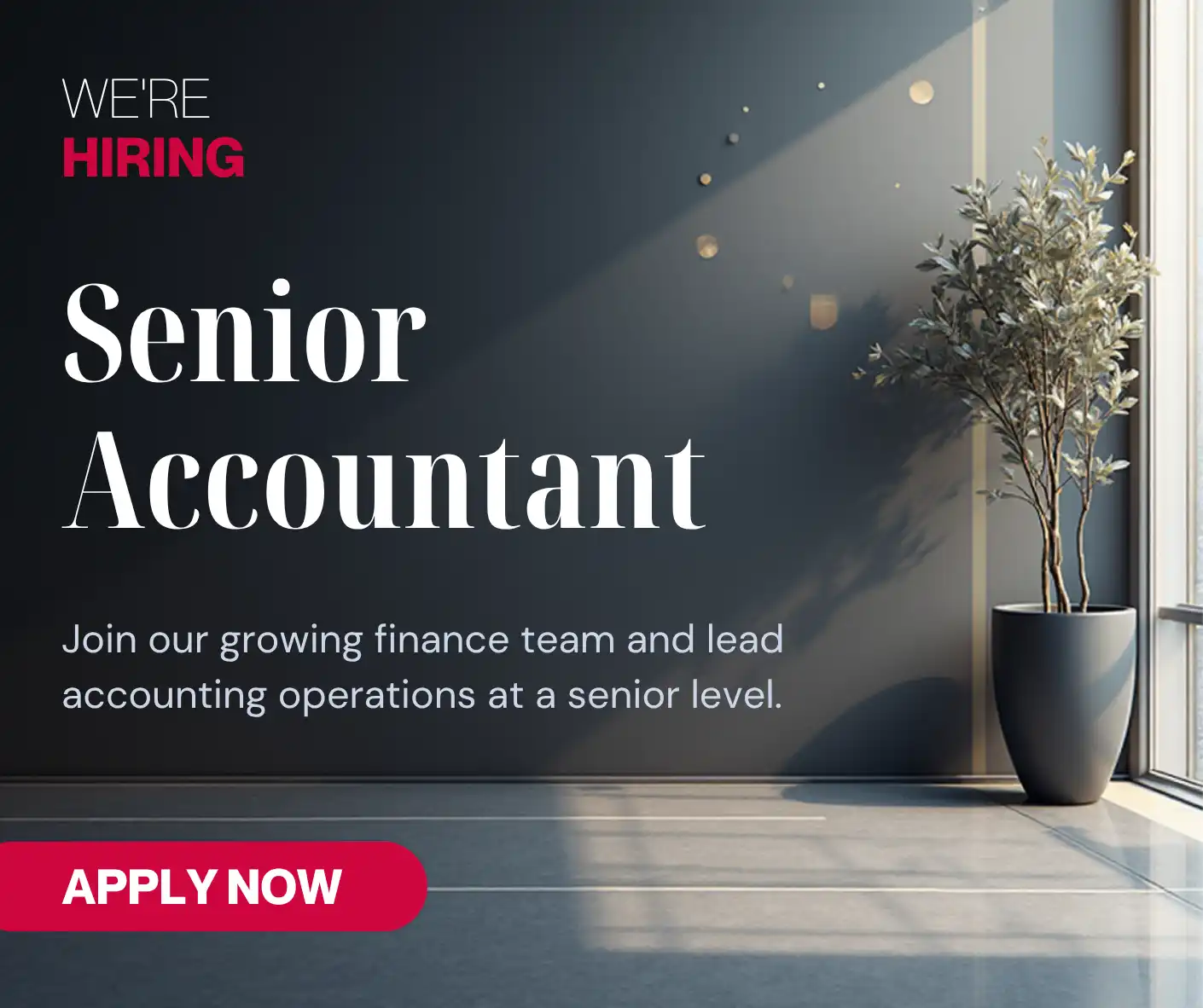 senior accountant job available
